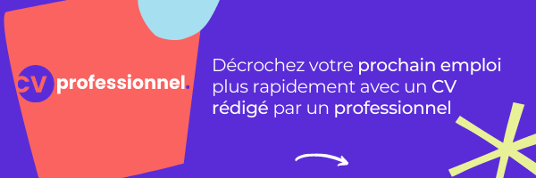 cv-professionnel-teaser-content.png