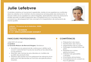 cv-en-ligne.png